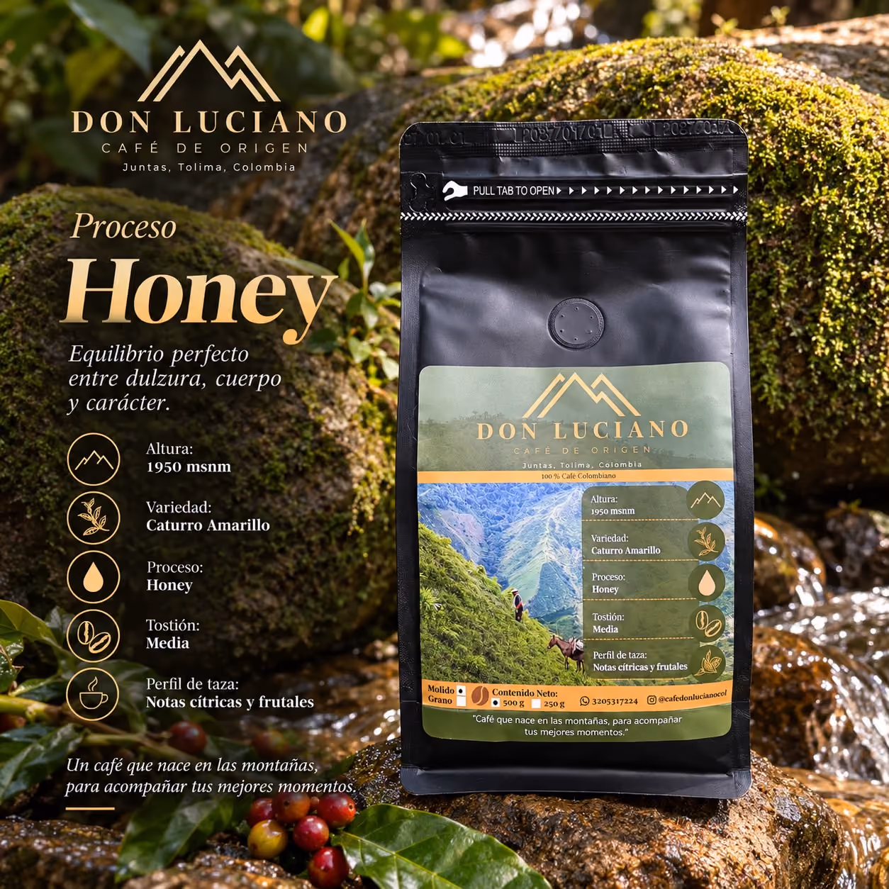 Bolsa de Café Don Luciano proceso Honey sobre una piedra con musgo junto a un arroyo, con su ficha de altura, variedad, proceso, tostión y perfil de taza.