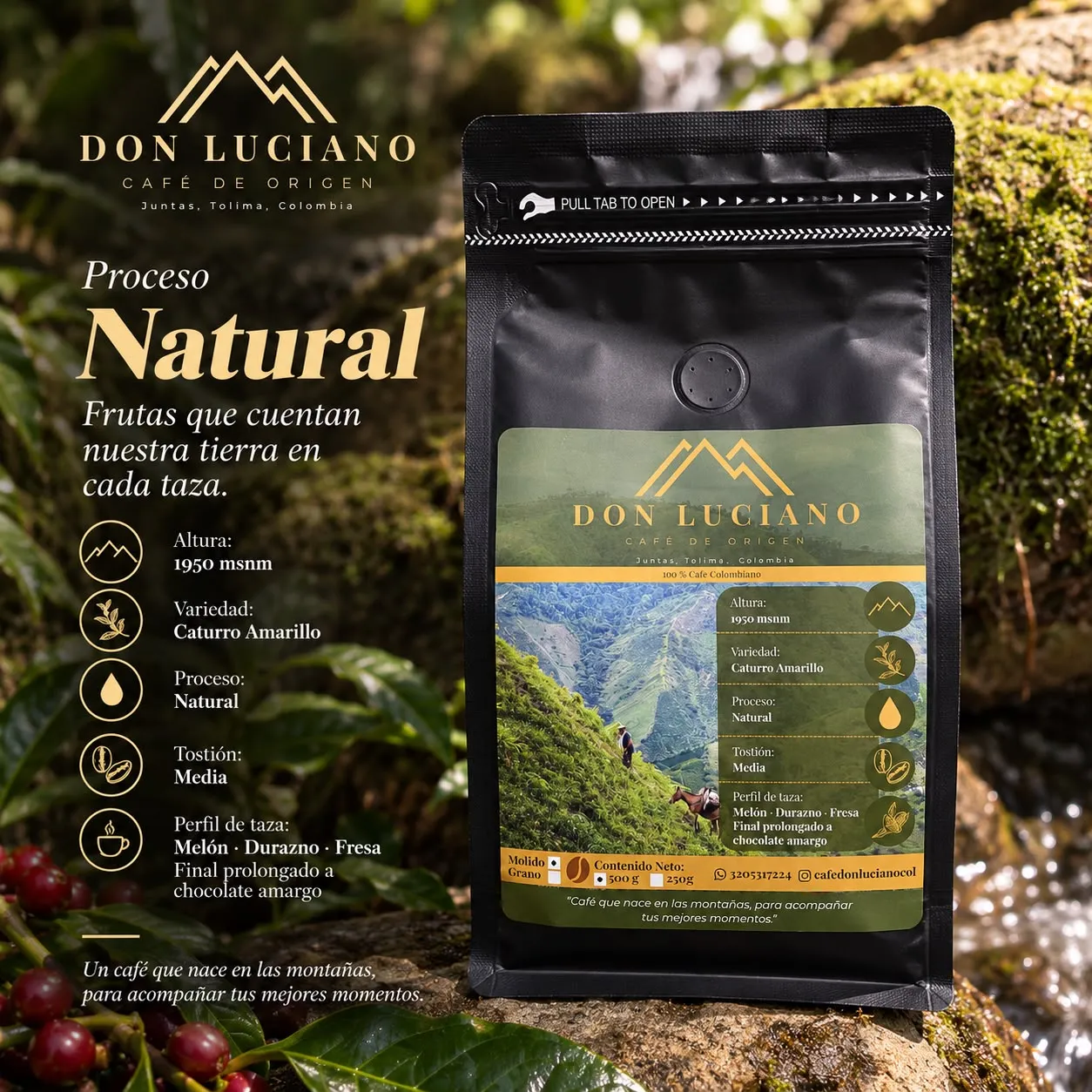 Bolsa de Café Don Luciano proceso Natural sobre una piedra con musgo junto a un arroyo, con su ficha de altura, variedad, proceso, tostión y perfil de taza.